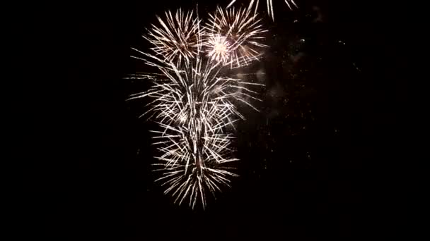 Fogos de artifício à noite — Vídeo de Stock