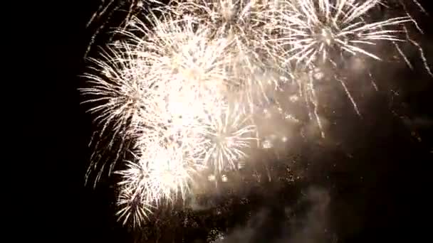 Fuochi d'artificio di notte — Video Stock