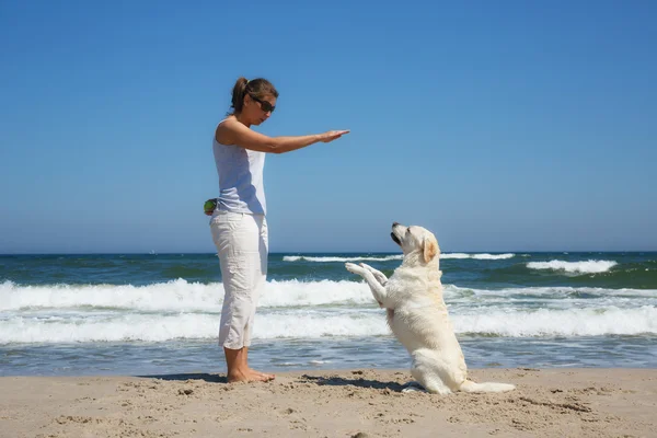 Vrouw leerling hond op het strand — Stockfoto