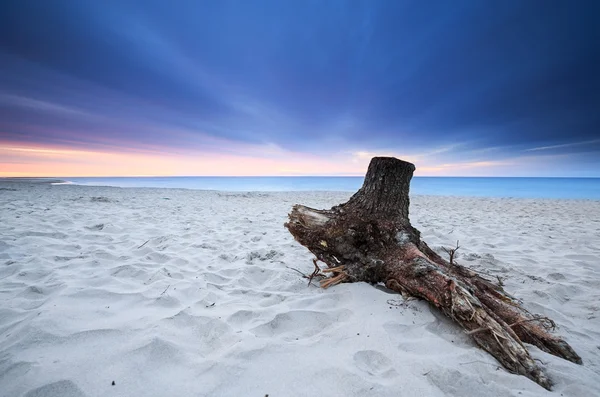 La spiaggia e il Mar Baltico al tramonto — Foto Stock