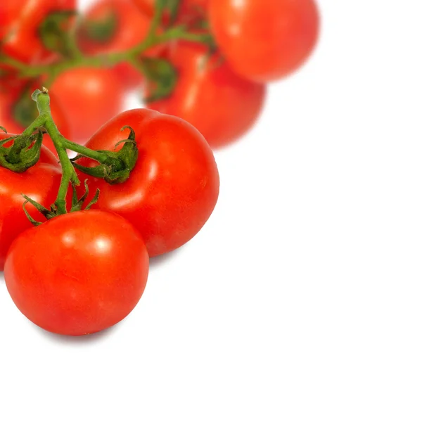 Aislar los tomates — Foto de Stock