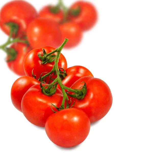 Tomatoes closeup — Stock Photo, Image