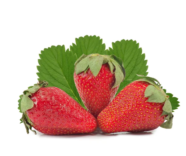 Three strawberries — Stock Photo, Image