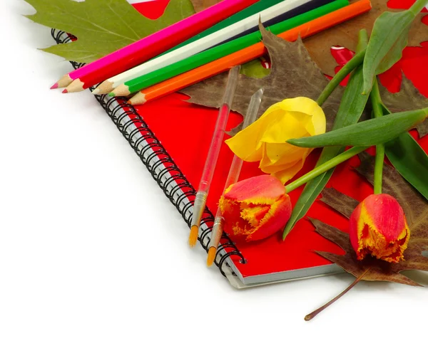 Ноутбук, цветы, листья и карандаши изолировать — стоковое фото