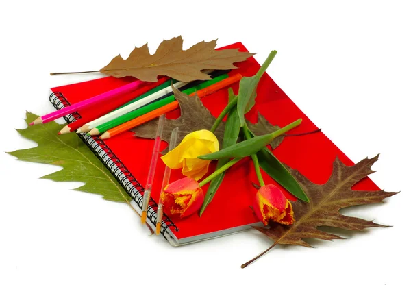 Cuaderno rojo y flores — Foto de Stock