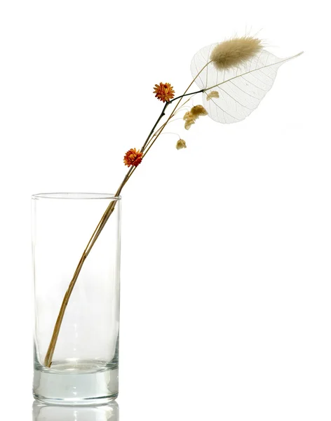 Gedroogde bloemen in een vaas — Stockfoto