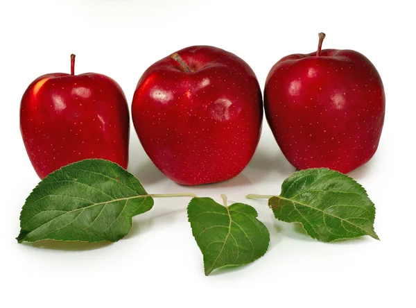 Primer plano de las manzanas — Foto de Stock
