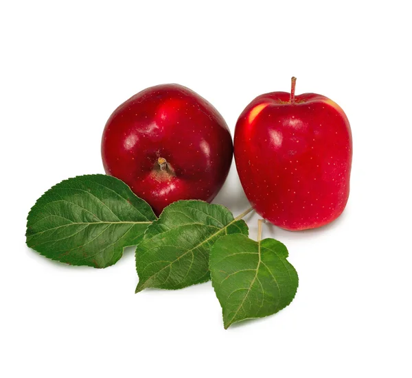 Two apples — Stock Photo, Image