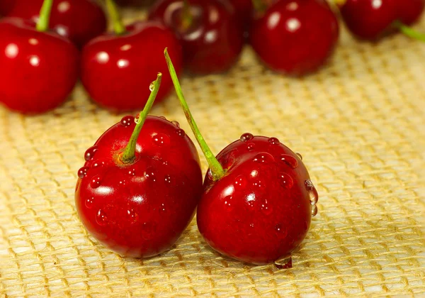 Red cherry closeup — Stock Photo, Image