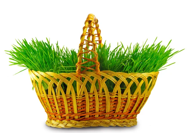 Grass in a basket — Stock Photo, Image