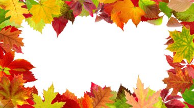 image of dry autumn leaves laid out in the form of a frame