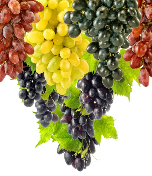 Зображення Винограду Зеленому Фоні Крупним Планом — стокове фото
