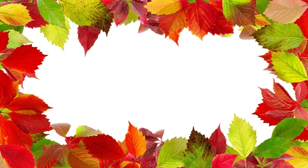 image of dry autumn leaves laid out in the form of a frame