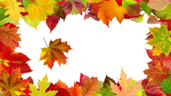Image Dry Autumn Leaves Laid Out Form Frame — Fotografia de Stock
