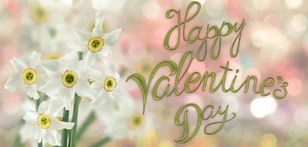 Feliz Día San Valentín Con Hermosas Flores Festivas Sobre Fondo — Foto de Stock