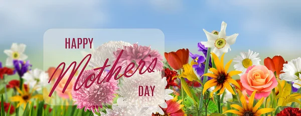 Tarjeta Felicitación Del Día Madre Feliz Con Flores Una Inscripción — Foto de Stock