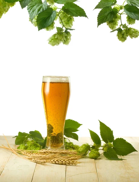 Een Afbeelding Van Een Bierbeker Met Oren Van Tarwe Hop — Stockfoto