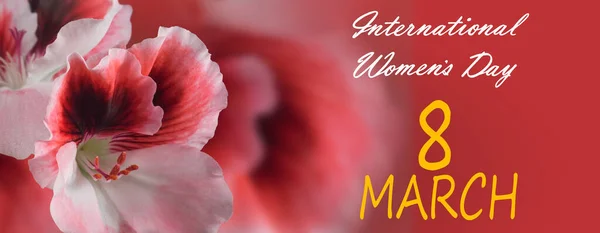 International Woman's Day. Romantic banner. Decoration of beautiful flowers