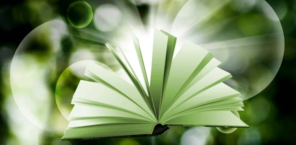Nyílt Könyv Elvont Zöld Háttérrel Könyv Oldalai Úgy Vannak Elrendezve — Stock Fotó