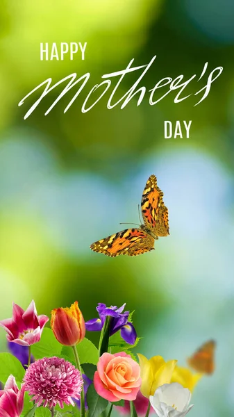 Tarjeta Felicitación Del Día Madre Feliz Con Flores Una Inscripción —  Fotos de Stock