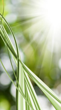 Kesişen çizgiler soyut bir şablon oluşturur. Soyut arkaplan yakın plan görüntüsü