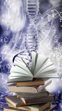The image of a stack of books and an open book on a stack against the background of stylized DNA chains.