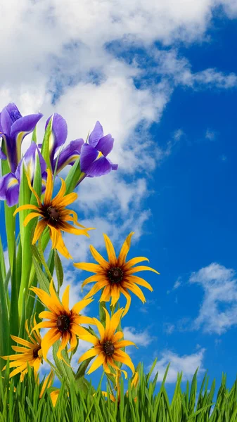 Image Bouquet Consisting Yellow Flowers Blue Sky Clouds — Zdjęcie stockowe