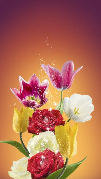 Image Beautiful Multi Colored Tulips Bright Orange Background — Stock Photo, Image