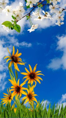 Image of a bouquet consisting of yellow flowers against a blue sky with clouds