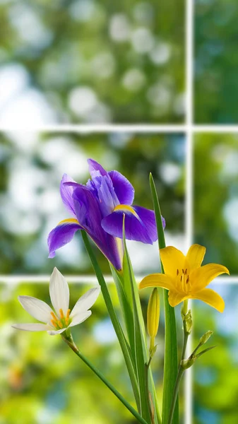 Image Bouquet Consisting Purple Iris Yellow White Flowers Blurred Green — Zdjęcie stockowe