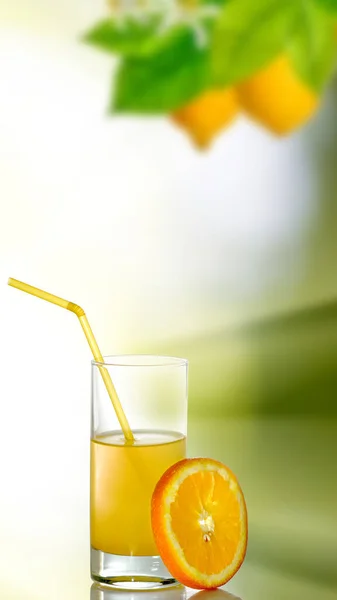 Image Glass Citrus Juice Branch Lemons — Stock fotografie