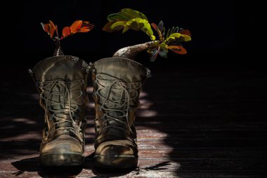 Plant the plants in the boots