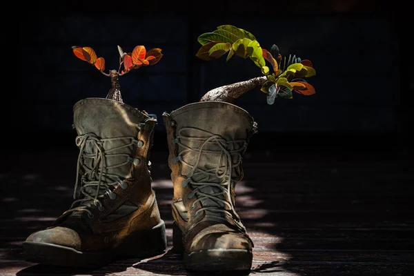 Plant the plants in the boots