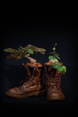 Plant the plants in the boots..full of cool ideas that makes gardeners green Just let your imagination run wild and have fun growing your shoes in the garden. Ideas for shoe gardeners
