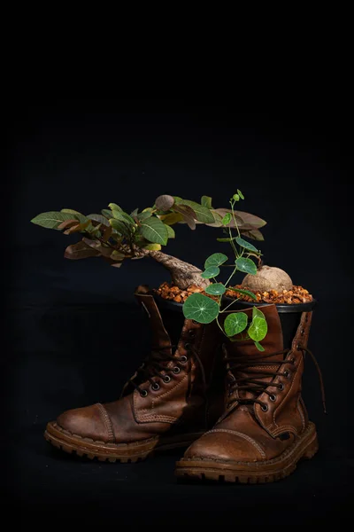 Plant the plants in the boots..full of cool ideas that makes gardeners green Just let your imagination run wild and have fun growing your shoes in the garden. Ideas for shoe gardeners