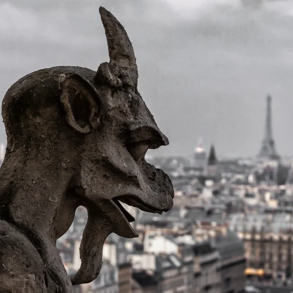 Gargoyle på notre dame de paris katedralen, paris, Frankrike Stockfoto