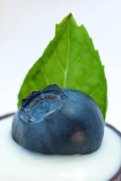 Schokoladendessert — Stockfoto