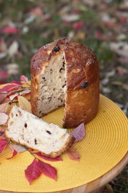 panettone. tatil ekmek.