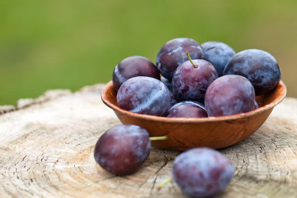 Frische Pflaumen — Stockfoto