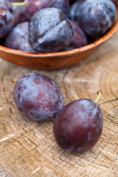 Taze Erik — Stok fotoğraf