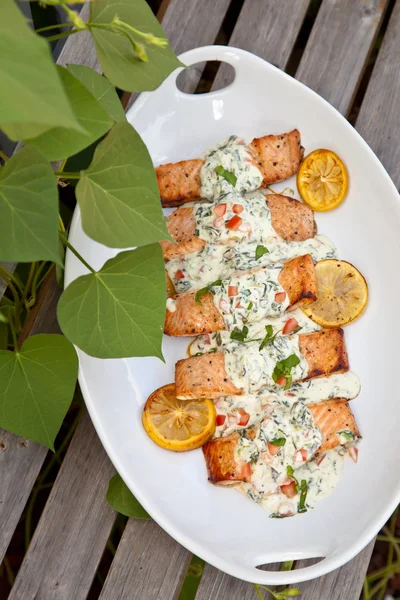 Cooked salmon — Stock Photo, Image