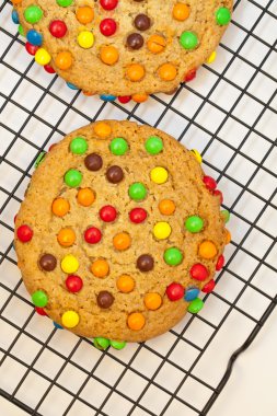 çikolatalı şeker kurabiye