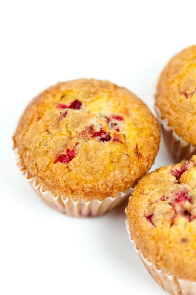 Brusinky muffins — Stock fotografie