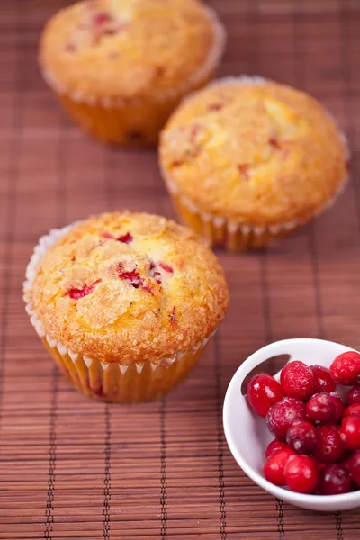 Muffins de arando — Fotografia de Stock