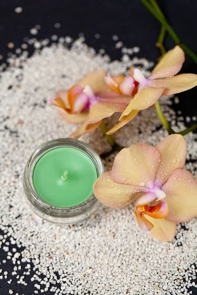 Candle and orchid — Stock Photo, Image