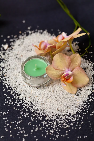 Candle and orchid — Stock Photo, Image