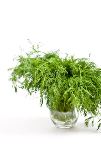 Dill. — Stok fotoğraf