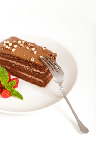 맛 있는 초콜릿 케이크의 슬라이스 — 스톡 사진
