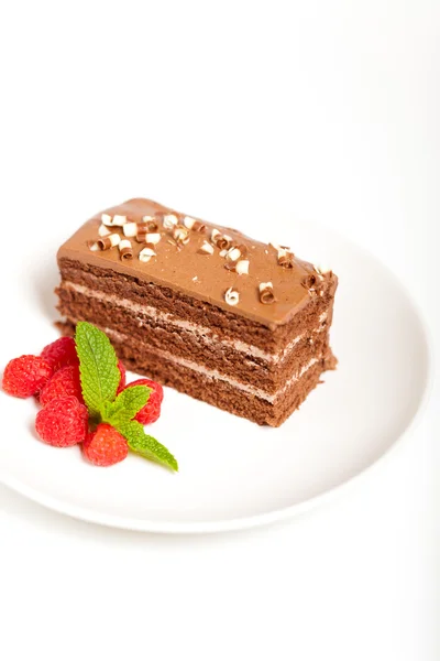 맛 있는 초콜릿 케이크의 슬라이스 — 스톡 사진