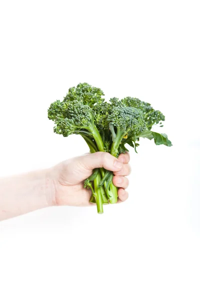 Broccolini — Stockfoto